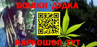 индика Азнакаево